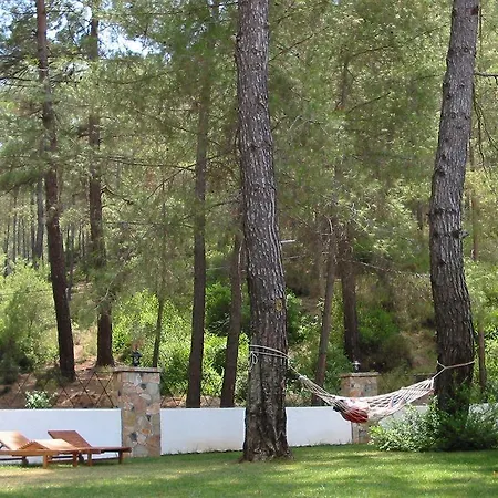 Forest Gate 호텔 3*