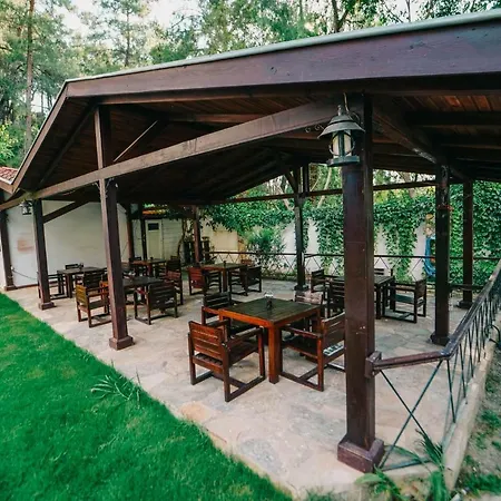 호텔 Forest Gate 3*