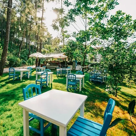 호텔 Forest Gate 교젝