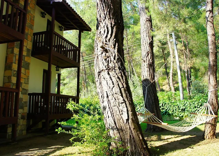 Forest Gate Hotel 3*