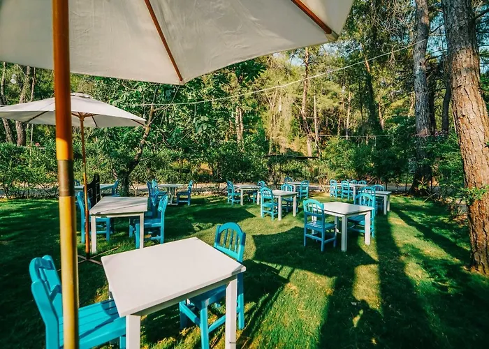 Hotel Forest Gate 3*