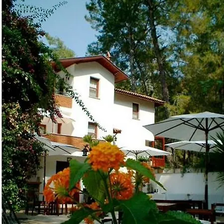 Forest Gate 3* Gocek (Fethiye)