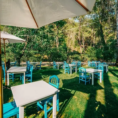 Hotel Forest Gate 3*