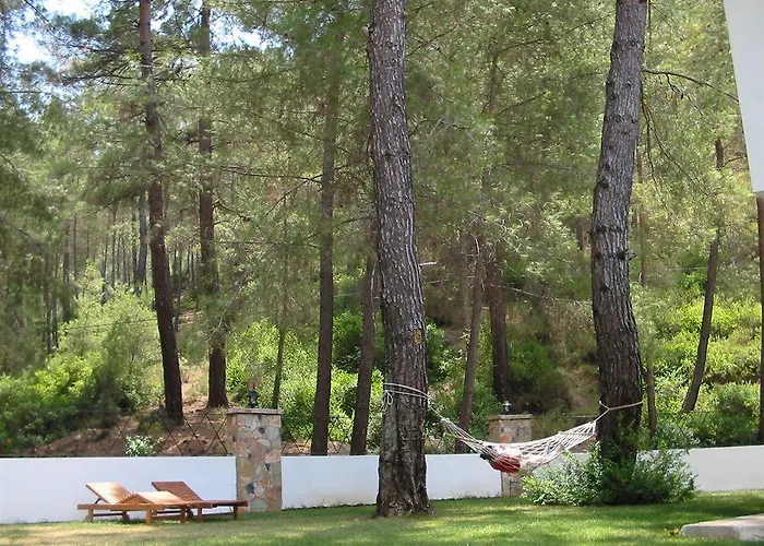 Forest Gate Hotel 3*